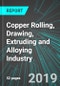 Copper Rolling, Drawing, Extruding and Alloying Industry (U.S.): Analytics, Extensive Financial Benchmarks, Metrics and Revenue Forecasts to 2026, NAIC 331420 - Product Thumbnail Image