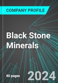 Black Stone Minerals (BSM:NYS): Analytics, Extensive Financial Metrics, and Benchmarks Against Averages and Top Companies Within its Industry- Product Image
