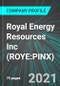 Royal Energy Resources Inc (ROYE:PINX): Analytics, Extensive Financial Metrics, and Benchmarks Against Averages and Top Companies Within its Industry - Product Thumbnail Image