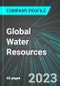 Global Water Resources (GWRS:NAS): Analytics, Extensive Financial Metrics, and Benchmarks Against Averages and Top Companies Within its Industry - Product Thumbnail Image