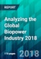 Analyzing the Global Biopower Industry 2018 - Product Thumbnail Image