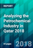 Analyzing the Petrochemical Industry in Qatar 2018- Product Image