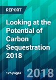 Looking at the Potential of Carbon Sequestration 2018- Product Image