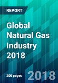Global Natural Gas Industry 2018- Product Image