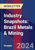 Industry Snapshots: Brazil Metals & Mining- Product Image