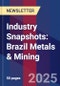 Industry Snapshots: Brazil Metals & Mining - Product Image