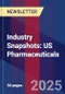 Industry Snapshots: US Pharmaceuticals - Product Thumbnail Image