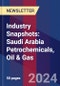 Industry Snapshots: Saudi Arabia Petrochemicals, Oil & Gas - Product Thumbnail Image