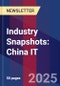 Industry Snapshots: China IT - Product Image