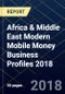 Africa & Middle East Modern Mobile Money Business Profiles 2018 - Product Thumbnail Image