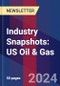 Industry Snapshots: US Oil & Gas - Product Thumbnail Image