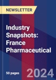 Industry Snapshots: France Pharmaceutical- Product Image