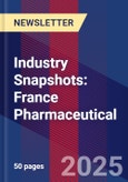 Industry Snapshots: France Pharmaceutical- Product Image