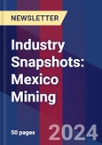 Industry Snapshots: Mexico Mining- Product Image