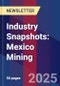 Industry Snapshots: Mexico Mining - Product Image