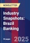 Industry Snapshots: Brazil Banking - Product Image