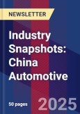 Industry Snapshots: China Automotive- Product Image