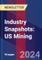 Industry Snapshots: US Mining - Product Image