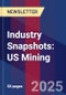 Industry Snapshots: US Mining - Product Image