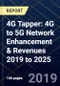4G Tapper: 4G to 5G Network Enhancement & Revenues 2019 to 2025 - Product Thumbnail Image