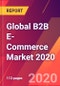 Global B2B E-Commerce Market 2020 - Product Thumbnail Image