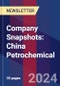 Company Snapshots: China Petrochemical - Product Image