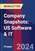 Company Snapshots: US Software & IT- Product Image