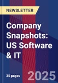 Company Snapshots: US Software & IT- Product Image