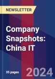 Company Snapshots: China IT- Product Image