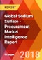 Global Sodium Sulfate - Procurement Market Intelligence Report - Product Thumbnail Image
