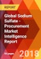 Global Sodium Sulfate - Procurement Market Intelligence Report - Product Thumbnail Image