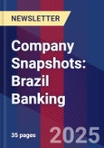 Company Snapshots: Brazil Banking- Product Image