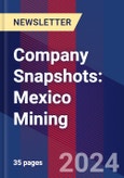 Company Snapshots: Mexico Mining- Product Image