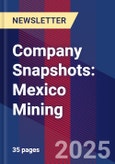 Company Snapshots: Mexico Mining- Product Image