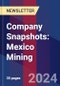 Company Snapshots: Mexico Mining - Product Thumbnail Image