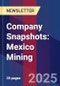 Company Snapshots: Mexico Mining - Product Image