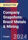 Company Snapshots: Brazil Metals & Mining- Product Image
