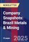 Company Snapshots: Brazil Metals & Mining - Product Thumbnail Image