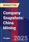 Company Snapshots: China Mining - Product Image