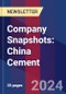 Company Snapshots: China Cement - Product Image