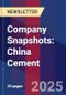 Company Snapshots: China Cement - Product Image