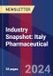 Industry Snapshot: Italy Pharmaceutical - Product Thumbnail Image