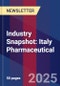 Industry Snapshot: Italy Pharmaceutical - Product Image