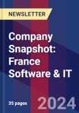 Company Snapshot: France Software & IT- Product Image