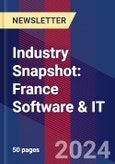 Industry Snapshot: France Software & IT- Product Image