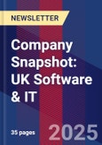 Company Snapshot: UK Software & IT- Product Image