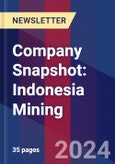 Company Snapshot: Indonesia Mining- Product Image