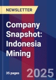 Company Snapshot: Indonesia Mining- Product Image