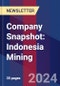 Company Snapshot: Indonesia Mining - Product Image