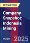 Company Snapshot: Indonesia Mining - Product Thumbnail Image